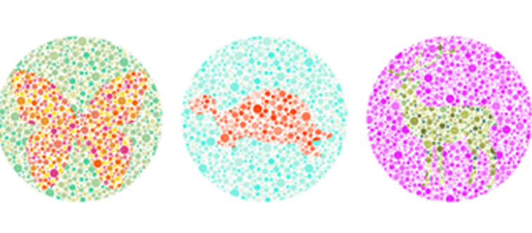 Quick scan: which three silhouettes are camouflaged here?