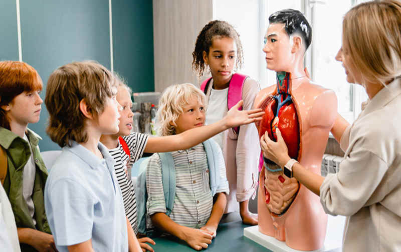 Think You Remember Health Class? This Quiz Will Prove How Rusty Your Knowledge Really Is.