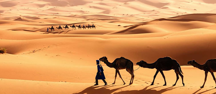 Where on the map does the massive Sahara Desert stretch across?