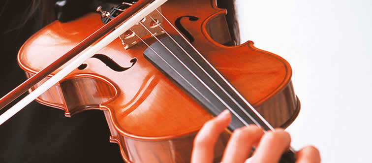 Identify this high-pitched string icon.