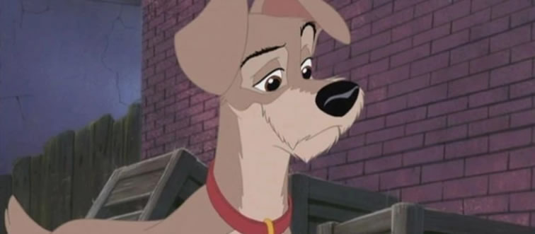 Can you name this street-smart canine rogue?